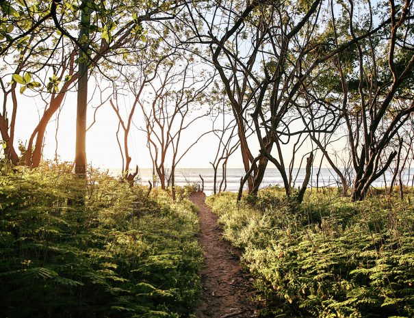 path to beach